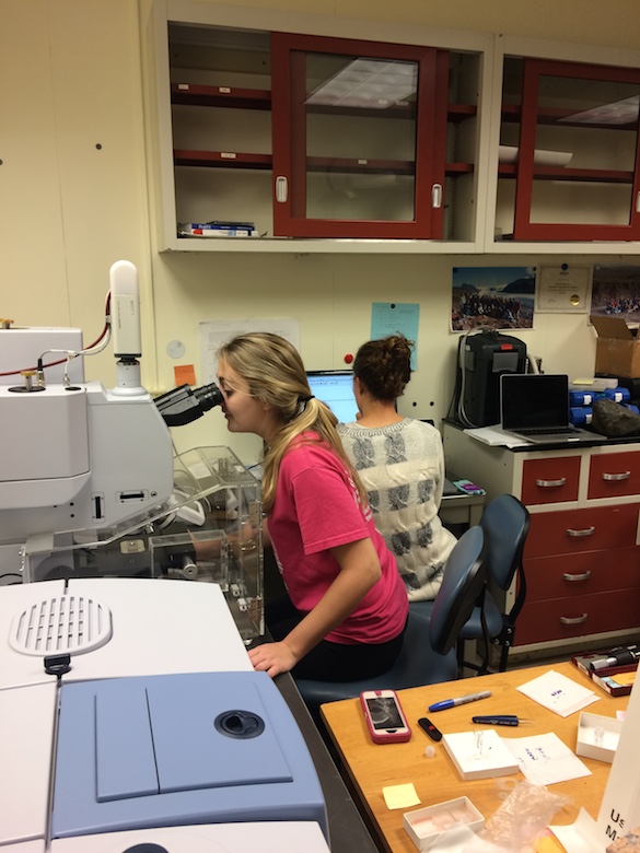 Chloe (left) is looking for an ideal measurement location on her glass chip. Cara (right) is operating the data collection and reduction software.