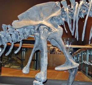 A visit to the Natural History Museum of Utah | Wooster Geologists