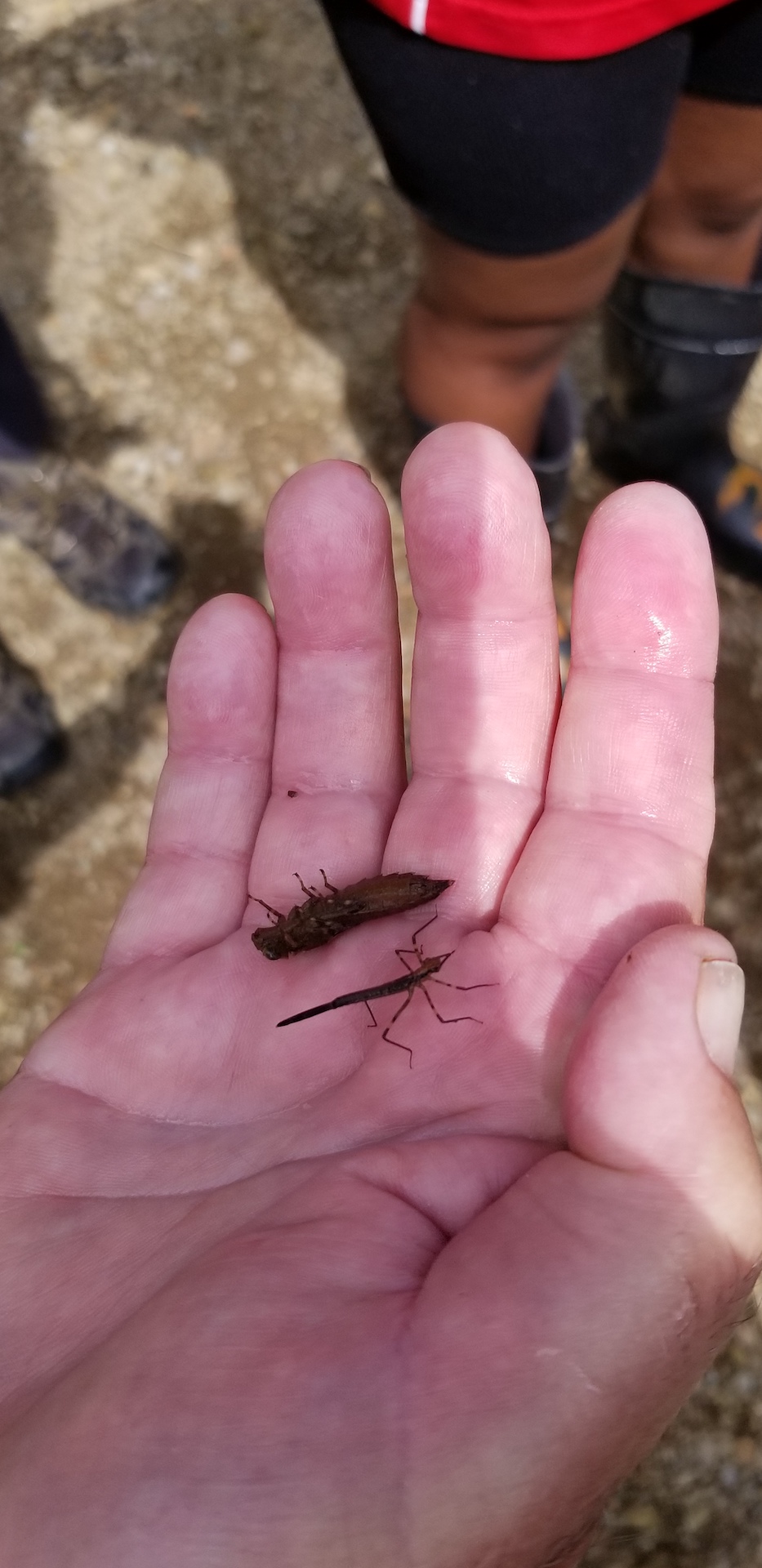 Apple Creek & Trout Unlimited Wooster Geologists