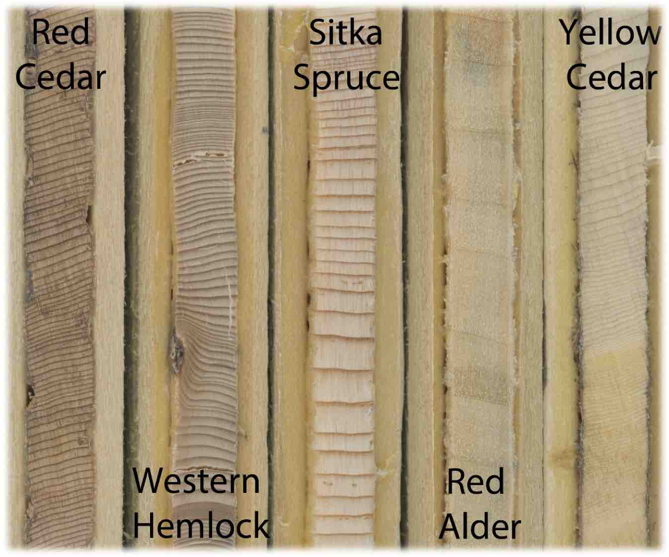 Wooster Geologists | A World to Explore | Page 3