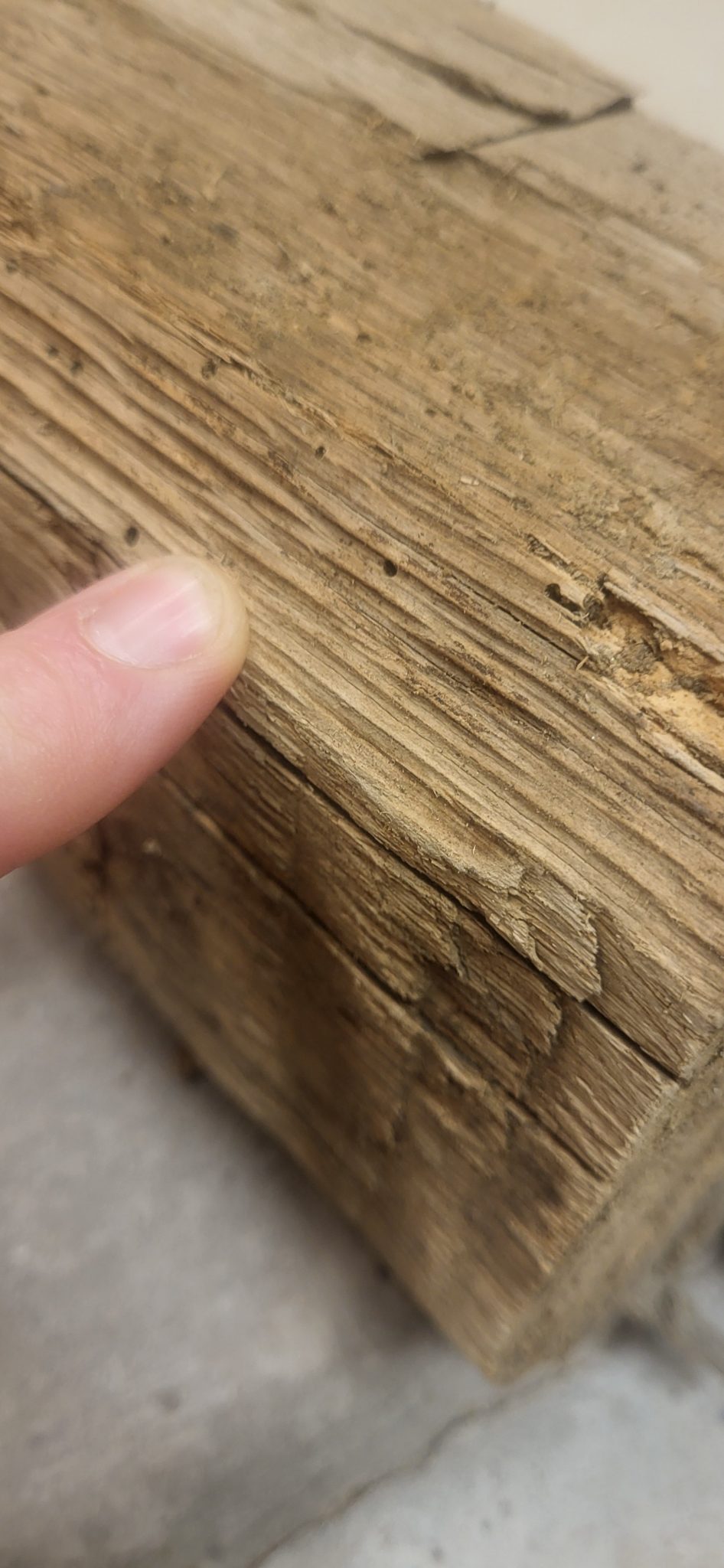 Tree Ring Dating of the Macedonia Missionary Baptist Church, South ...
